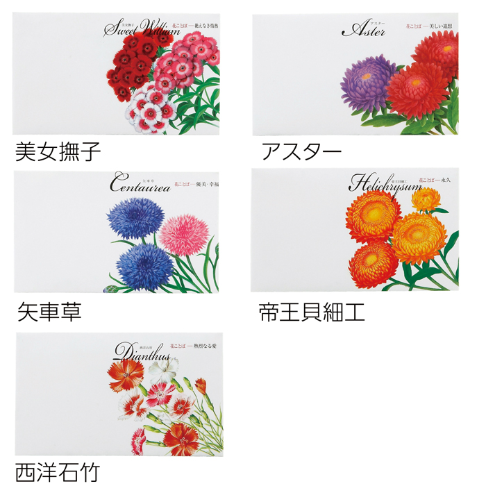 横型イラスト花の種子の商品詳細｜販促品・景品・ノベルティ特価市